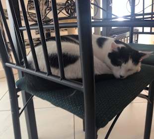 Котэ