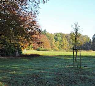 Herbstspaziergang durch den Bürgerpark Bremerhaven