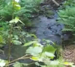 Flößerpfad Loßburg