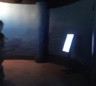 National Aquarium Malta