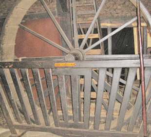 Im Haus - Loprad / Laufrad für Hunde