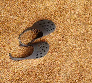 Maislabyrinth Südlohn