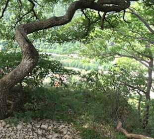 Tour entlang der Traifelbergfelsen
