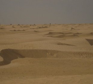 SAHARA