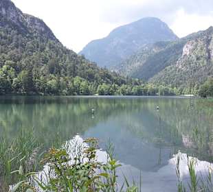 Thumsee 