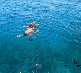 Schnorcheln Makadi Bay