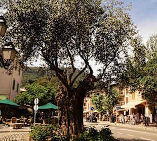 Altstadt Valldemosa