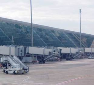 Hier sieht man schon die Größe