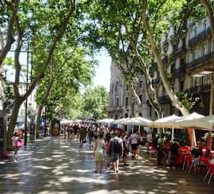 Impressionen von der Rambla