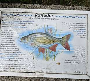 Fischlehrpfad