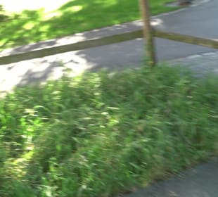 Seegarten-Anlage / Kurfürsten-Anlage