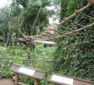 Питомцы зоопарка 