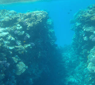 Unterwasserwelt Bootstour Utopia