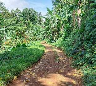 Parque Natural Obô do Príncipe