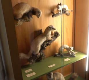 Heimatmuseum Oberstdorf