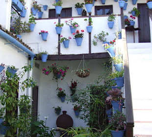 Paseo por la judería y patios de Córdoba
