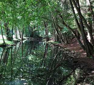 Spaziergang durch den Schlosspark Fantaisie