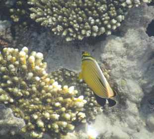 Фото с пирса