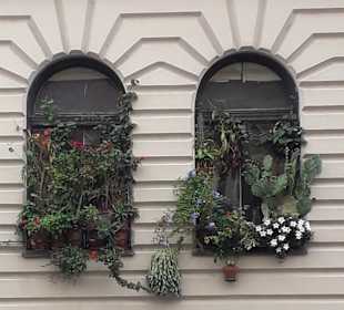 Stadtrundfahrt Budapest