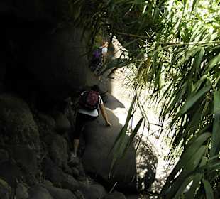 Schlucht von Masca