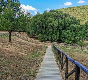 Wandern Olbia