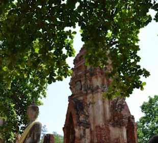 Ayutthaya Ausflug