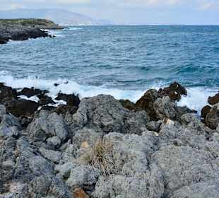 Ein paar Inspirationen von unserer Strandwanderung