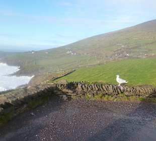 Wunderschöner Ausblick