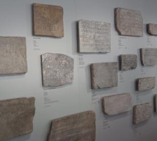 Rheinisches Landesmuseum