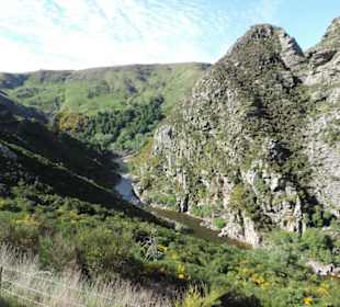 Mitder Taileri Railway durch die Natur Neuseelands