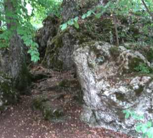 Burg Alt-Lichtenstein