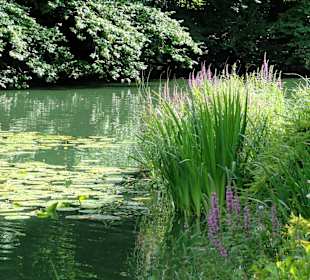 Der See im Waller Park