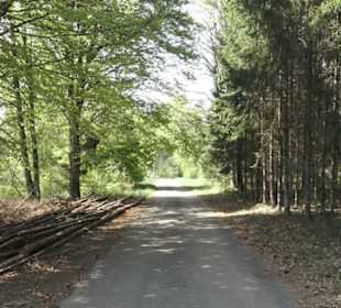 Waldlehrpfad an der Lauter