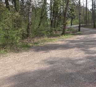 Wanderparkplatz am Waldlehrpfad