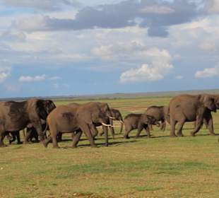 Amboseli