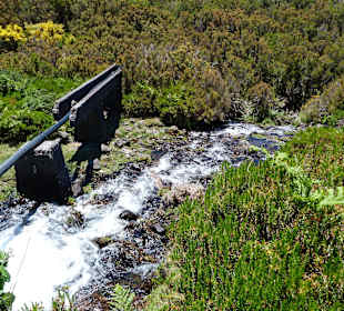 Levada do Lajeado auf der Hochebene Paul da Serra