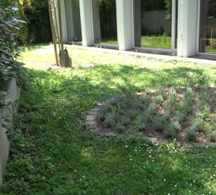 Friedhof Handschuhsheim