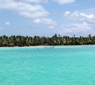 Tolle Ausflüge (Insel Saona)