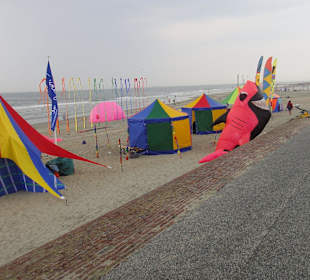 Drachenfest am Riffkieker