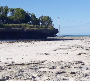Pongwe Strand