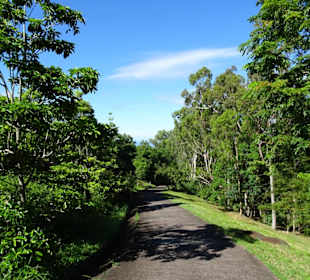 Spaziergang durch den Botanischen Garten Mascarin