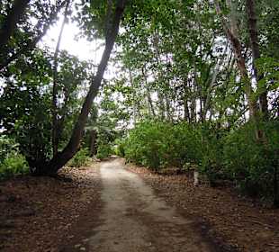 Auf den Weg zur Grand Anse