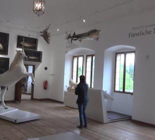 Ausstellung Sittikus