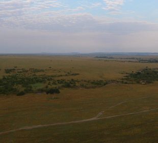 Hot Air Safari