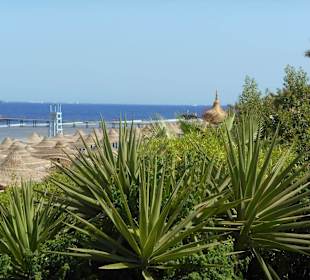 Plaża Sharm el Sheikh