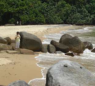 An der Küste des Nationalparks