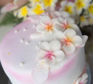 Die Hälfte haben wir geschafft 