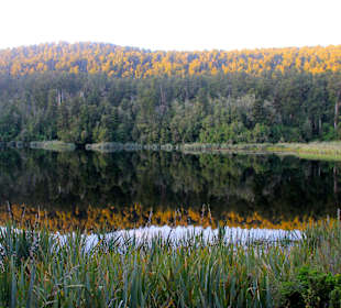 Abendspiegelung am Lake Matheson