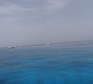 Delfin Tour Hurghada