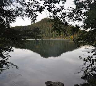 Spiegelung Alpsee